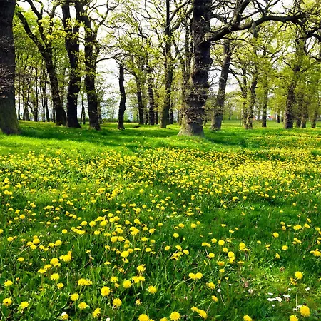 Haus Kulschewski 別荘